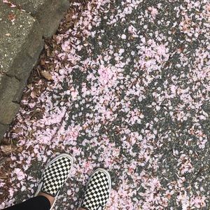 Meet your Posher, Kaycee